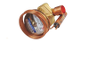 C1-17 Emerson TCLE Thermostatic Expansion Valve 3.5T/5.5T/7.5T for Medium Bus AC